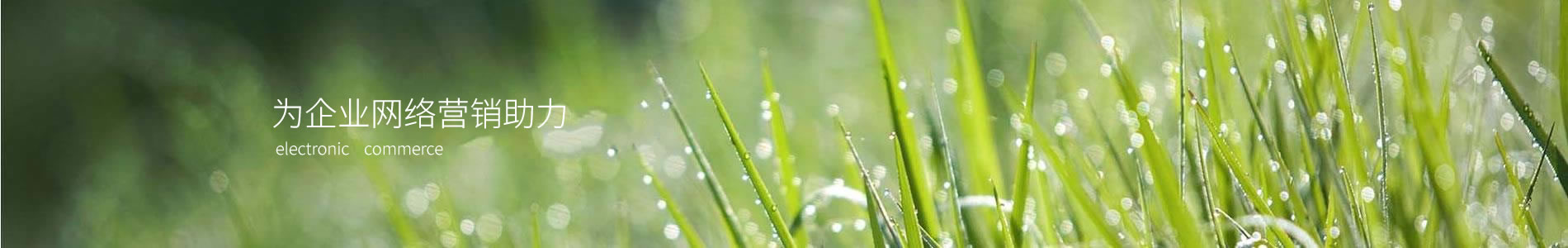 ֣ݺƼ޹˾